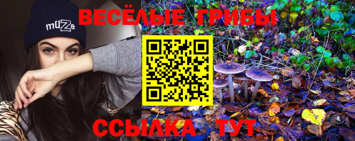 Борзя  Галлюциногенные грибы мухоморы  где купить наркоту  Вход с VPN  Галлюциногенные грибы Magic Shrooms 